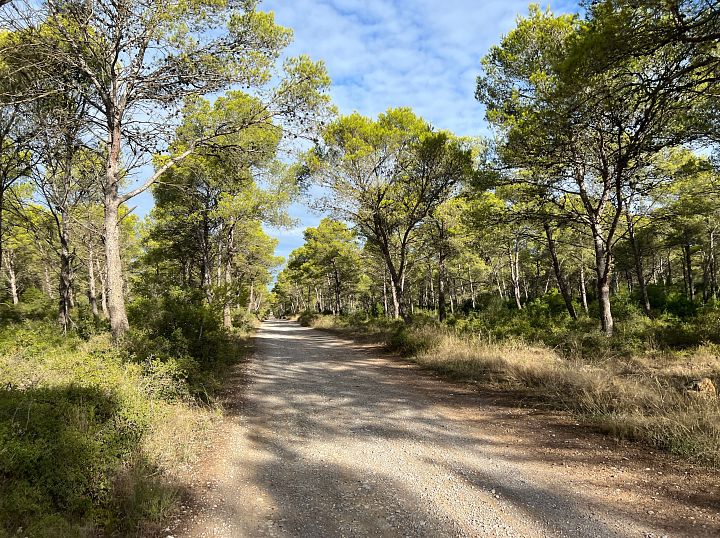 Rutas a pie por el Montgrí