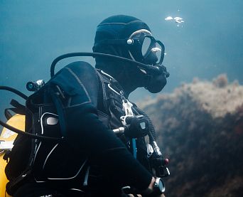Bucea en uno de los grandes tesoros del Mediterráneo