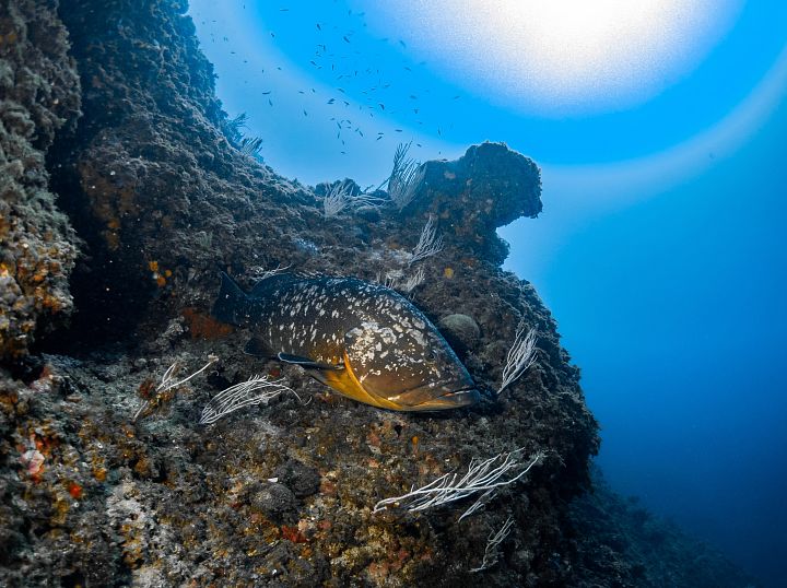 Una experiencia única en la reserva marina