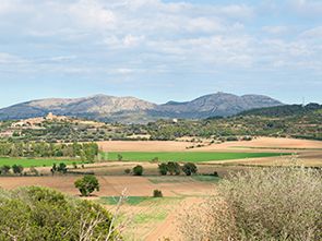 Le <b>Parc Naturel du Montgrí, des Îles Medes et du Bas Ter</b>