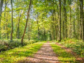 Die Natur, zum Greifen nah