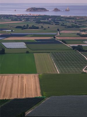 Montgrí, Medes Islands and Baix Ter Natural Park 