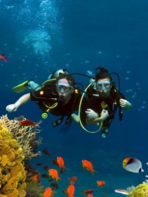 Scuba diving in the Medes Islands
